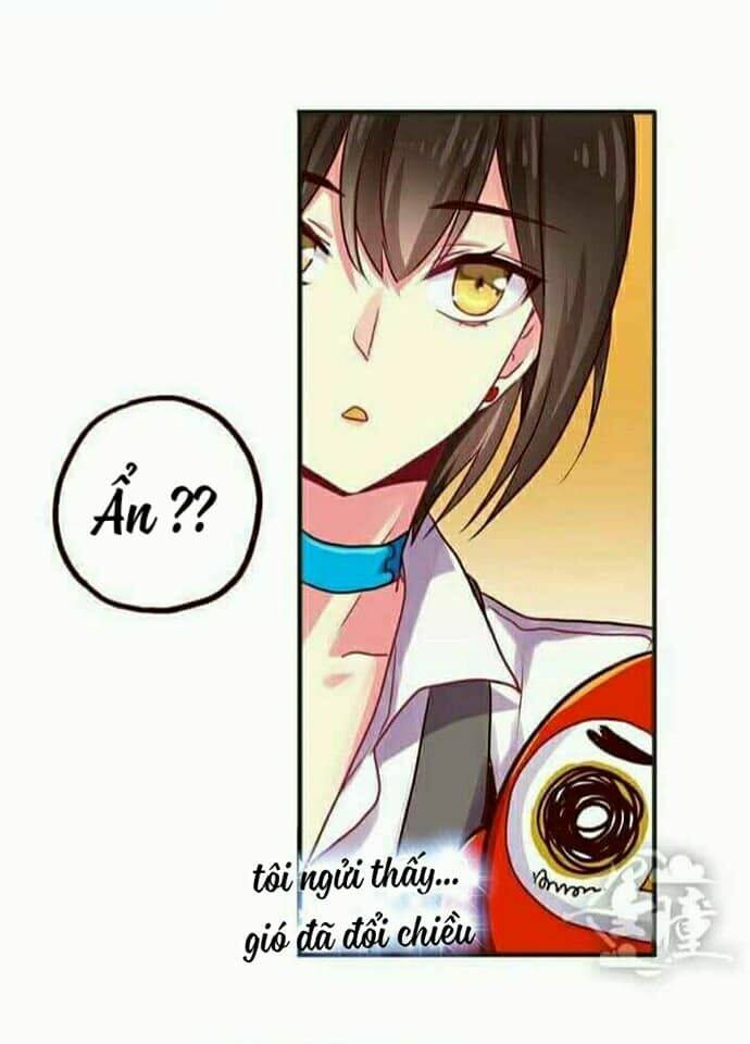 Trang 17