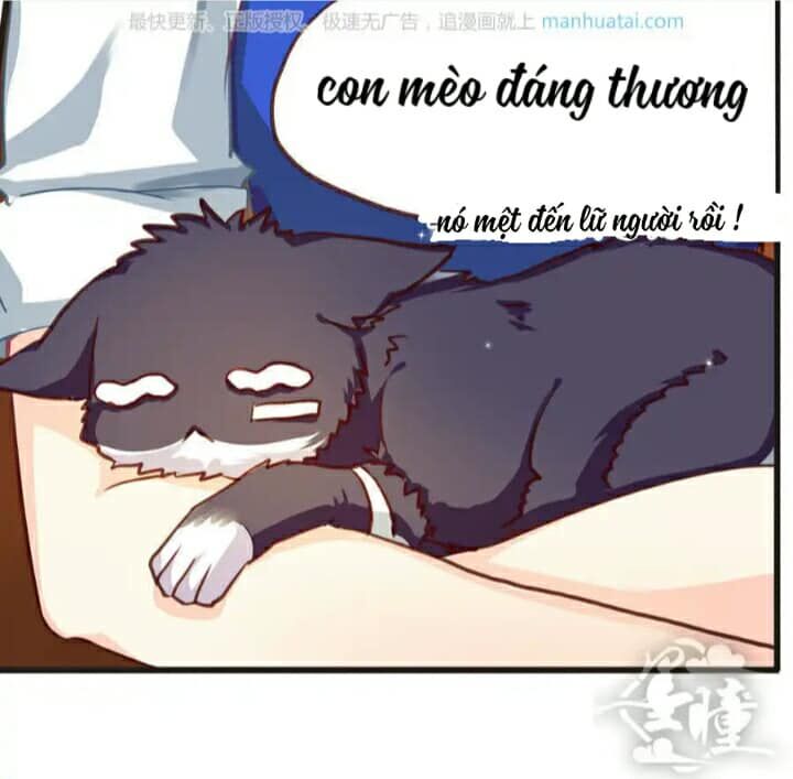 Trang 1