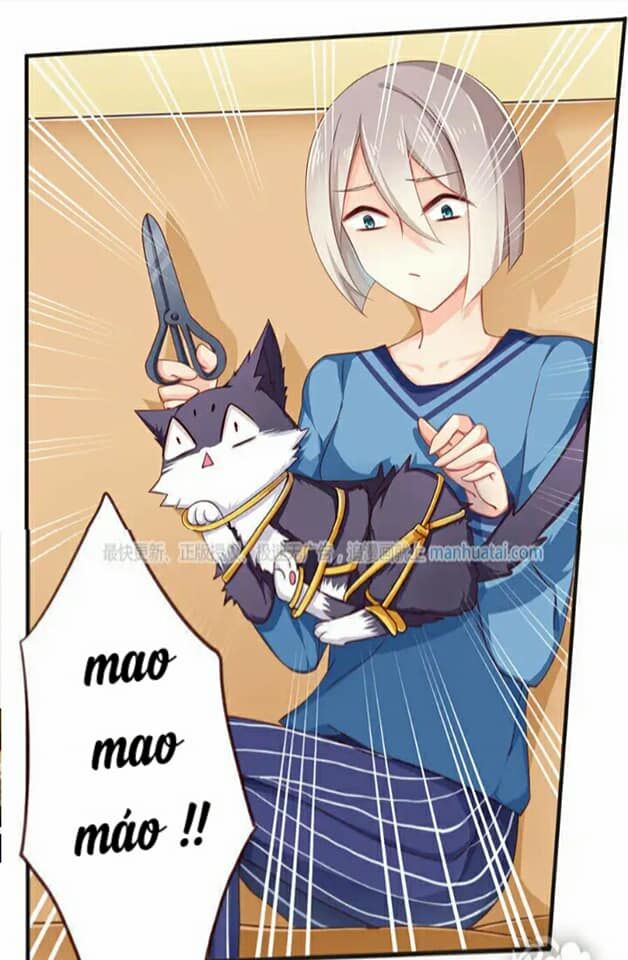 Trang 19