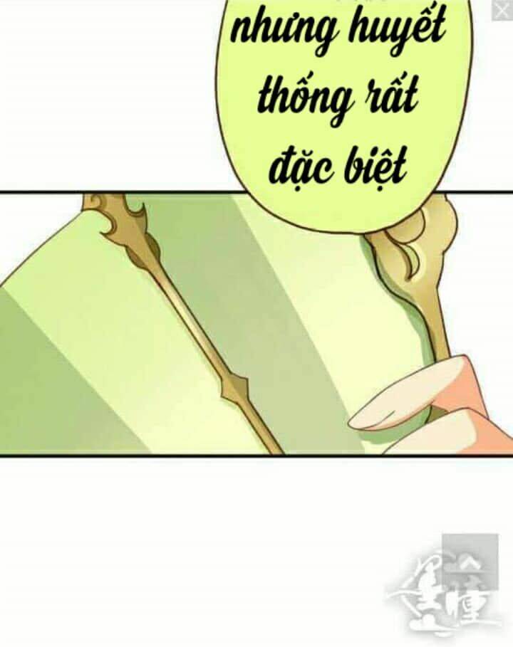 Trang 81