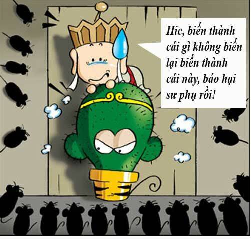 Trang 16