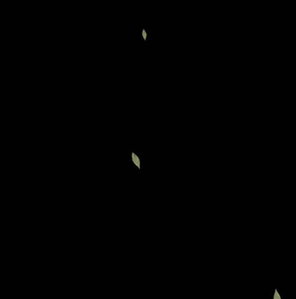 Chương 102.1 - Trang 39