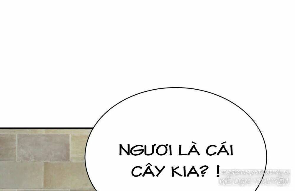 Chương 14.2 - Trang 11