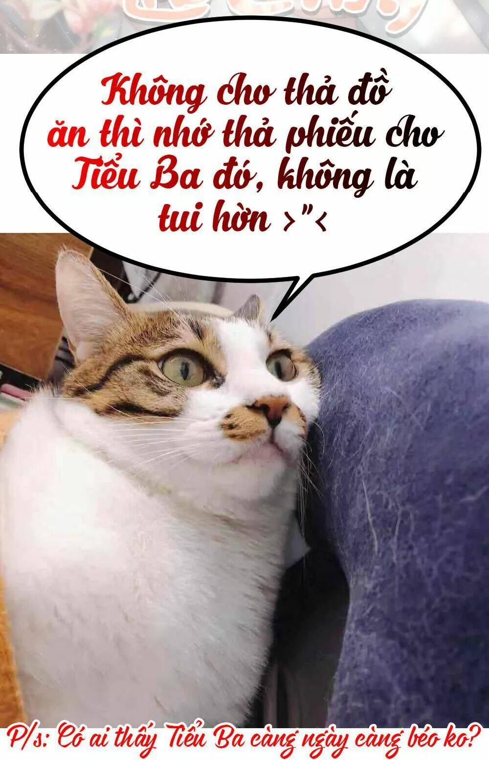 Chương 27 - Trang 142