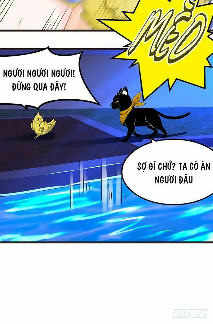 Trang 17