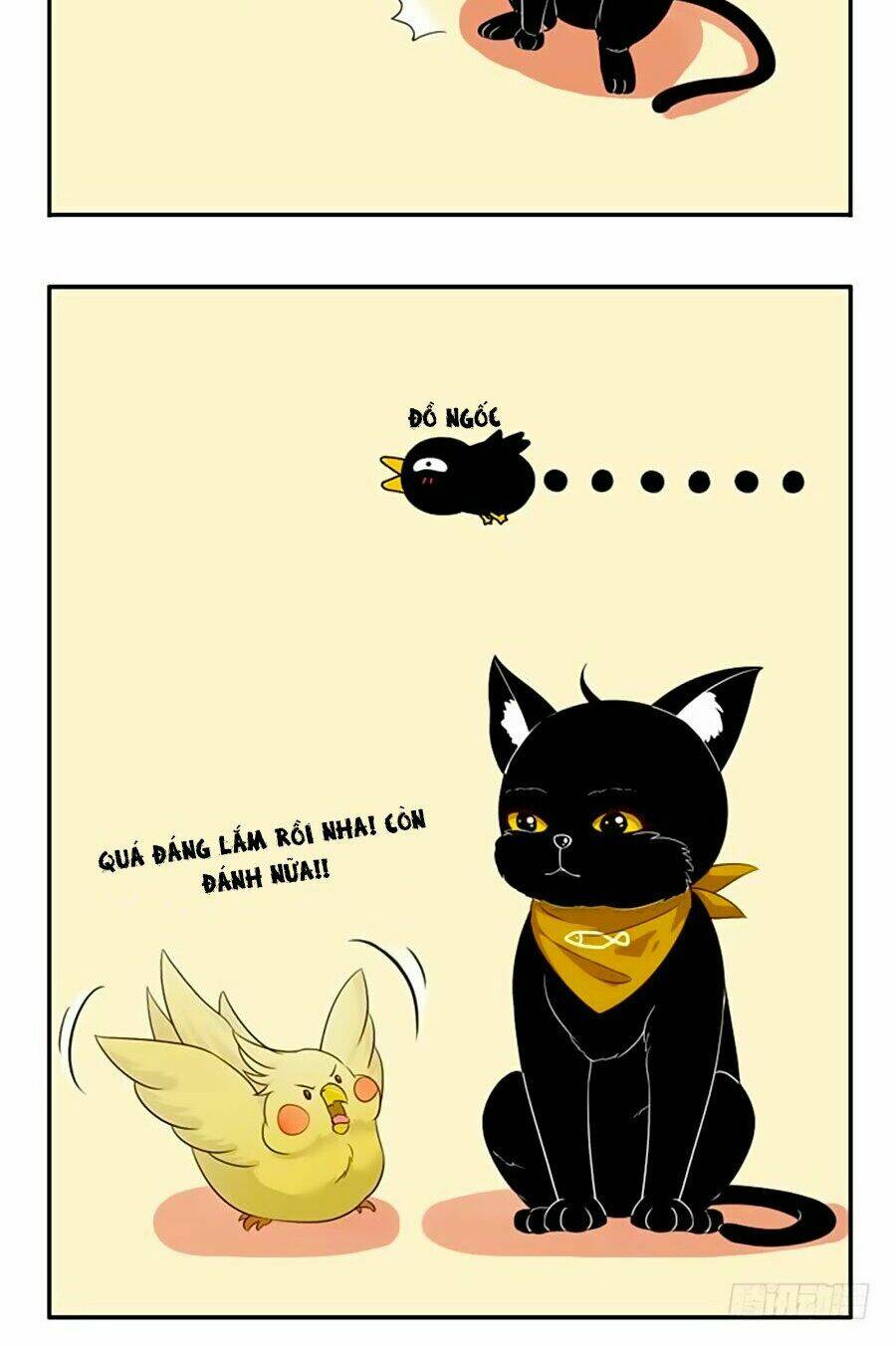 Trang 34