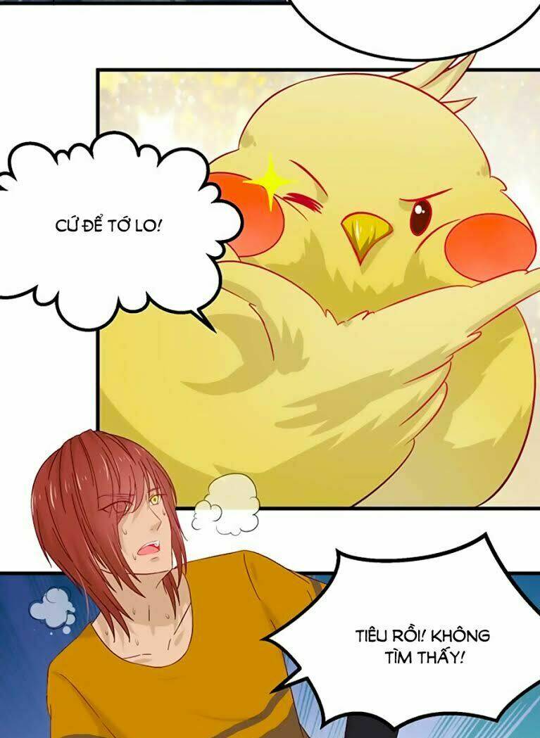 Trang 23