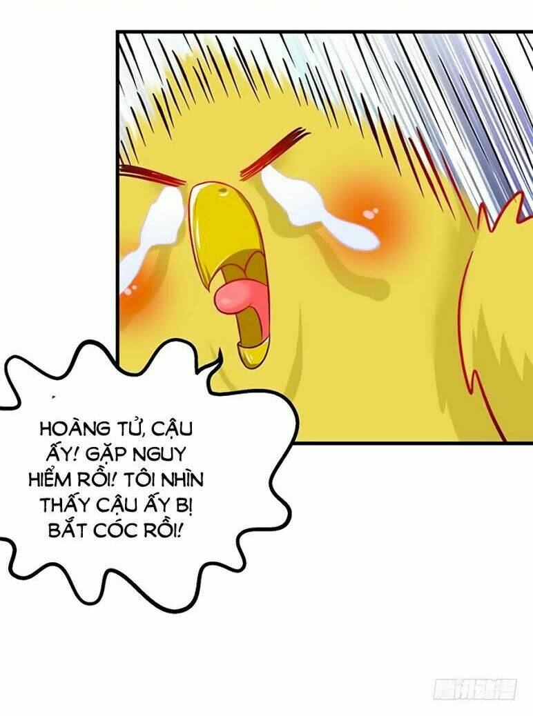 Trang 24