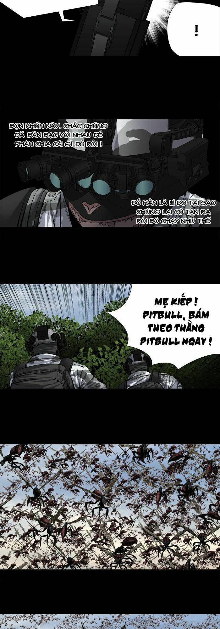 Chương 204 - Trang 15