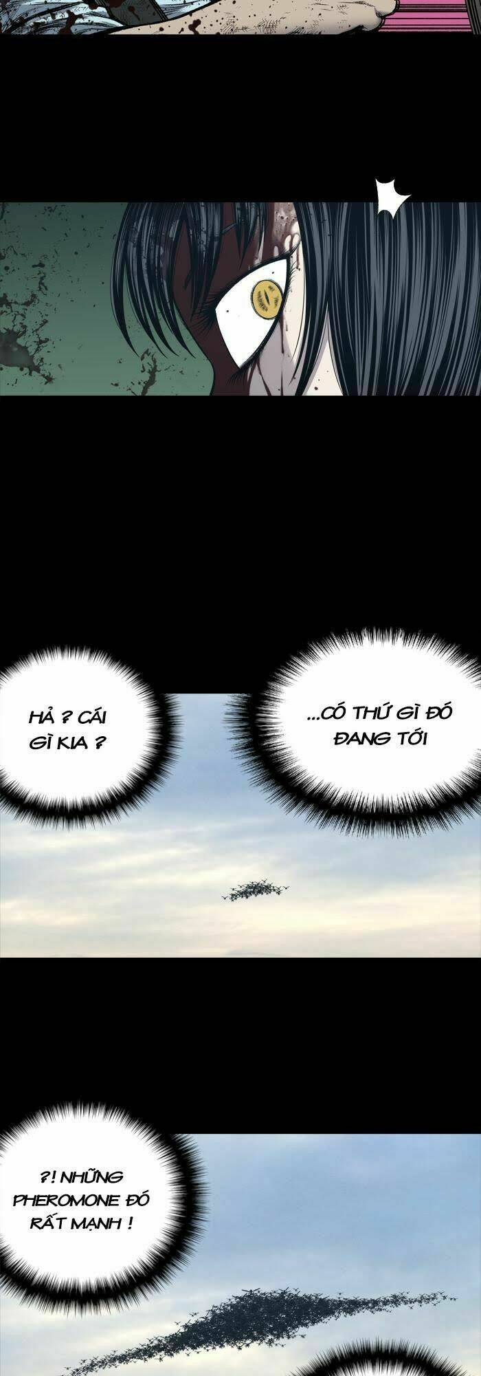 Chương 233 - Trang 31