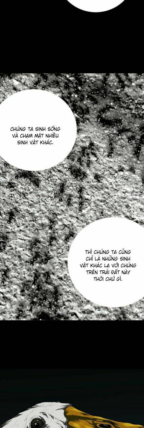Chương 33 - Trang 27
