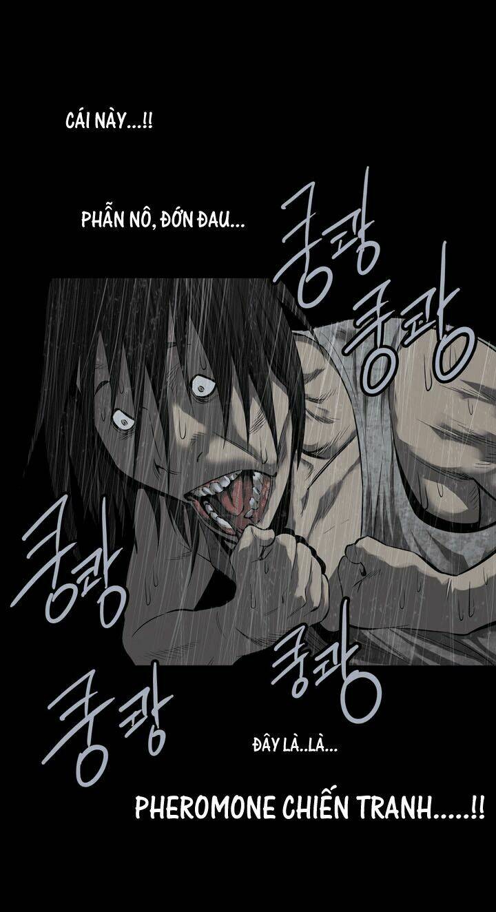 Chương 84 - Trang 13