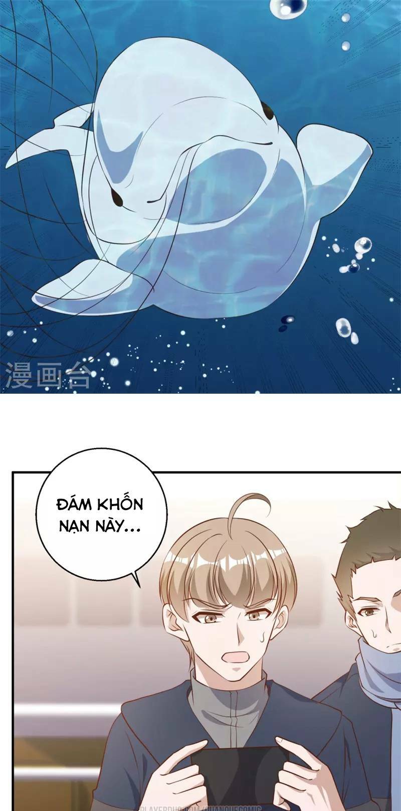 Trang 17