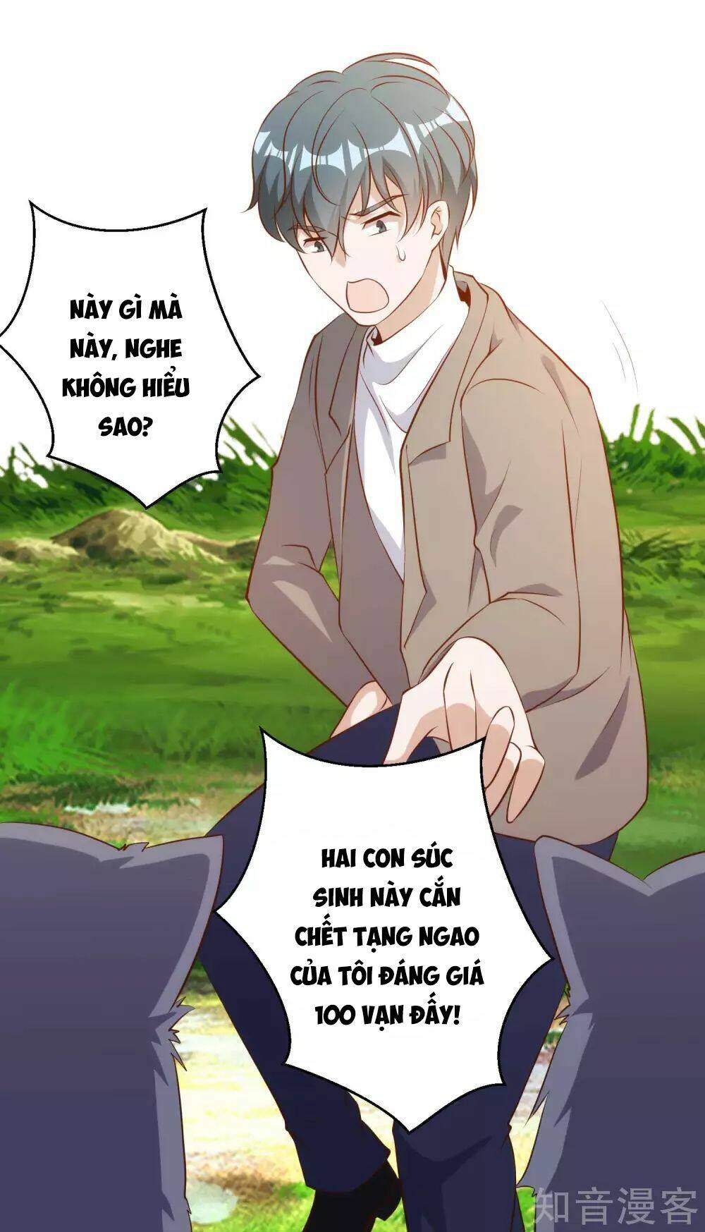 Trang 20