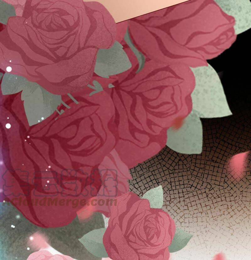 Chương 116 - Trang 35
