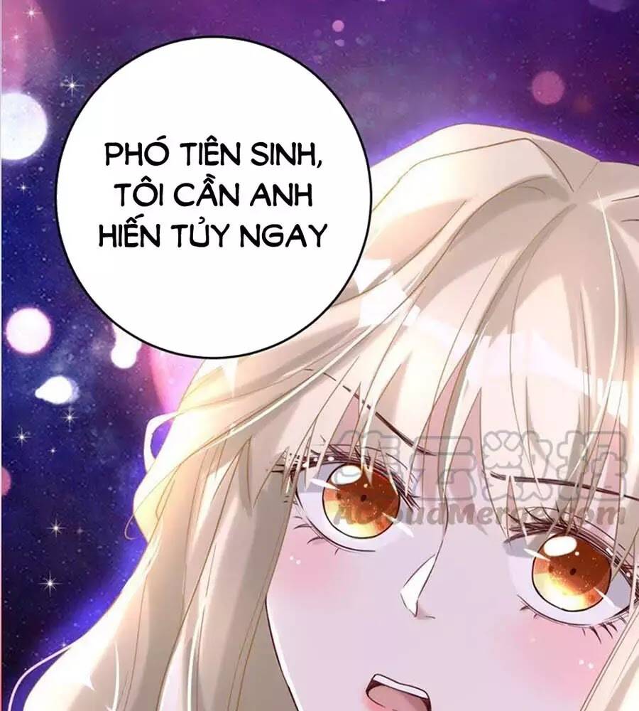 Chương 47 - Trang 33