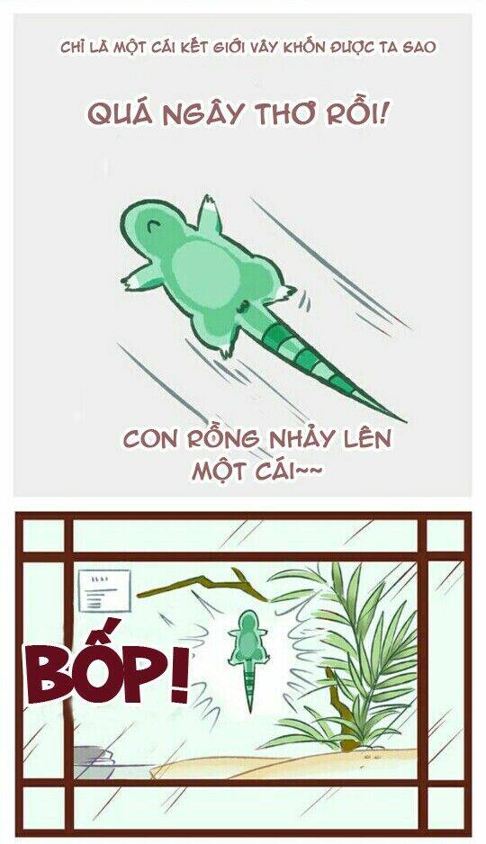 Chương 1 - Trang 19