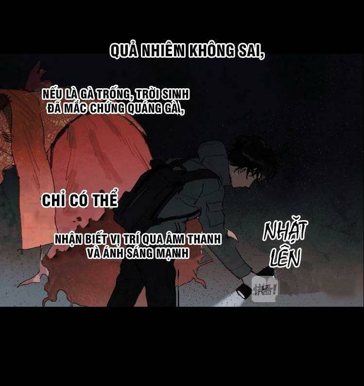 Chương 19 - Trang 21
