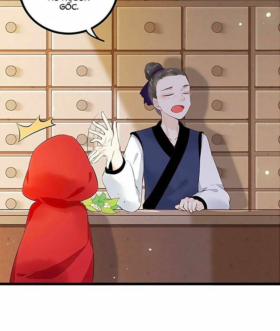 Trang 17