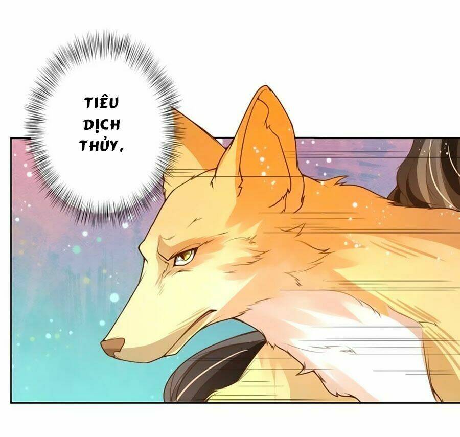 Trang 25
