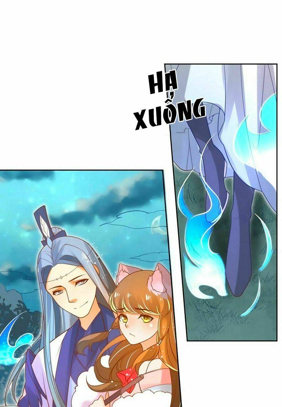 Trang 19