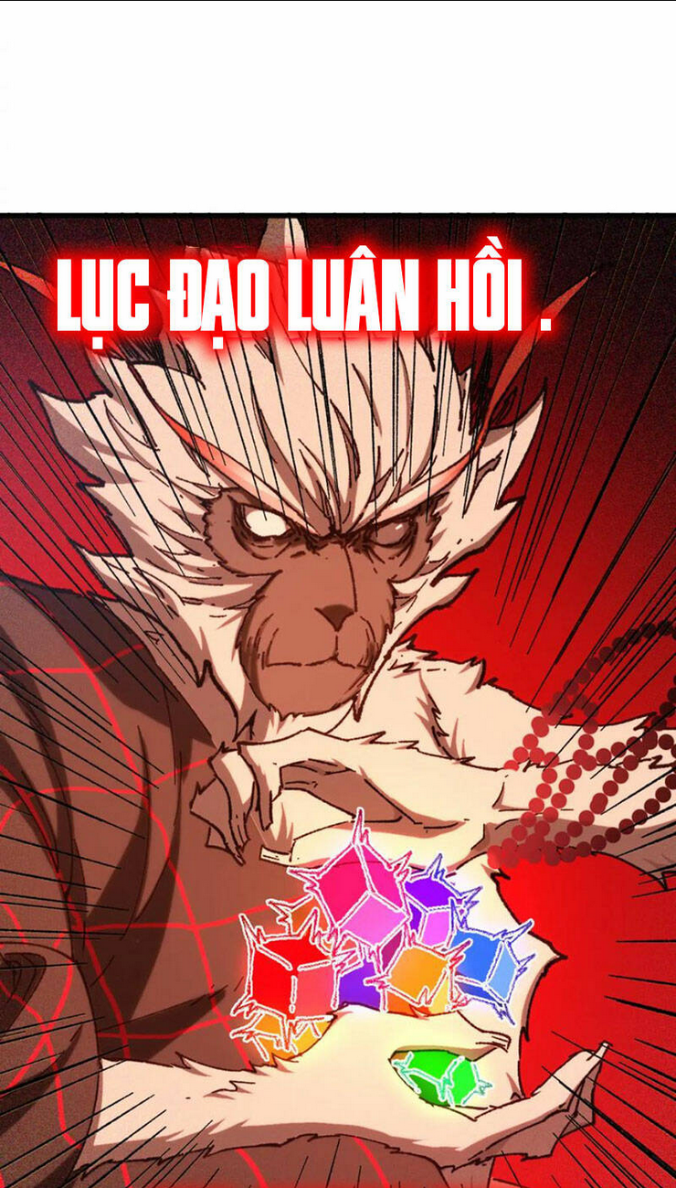 Chương 260 - Trang 2