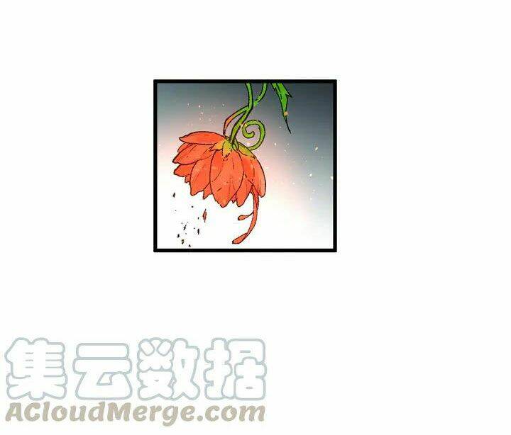 Chương 81 - Trang 51