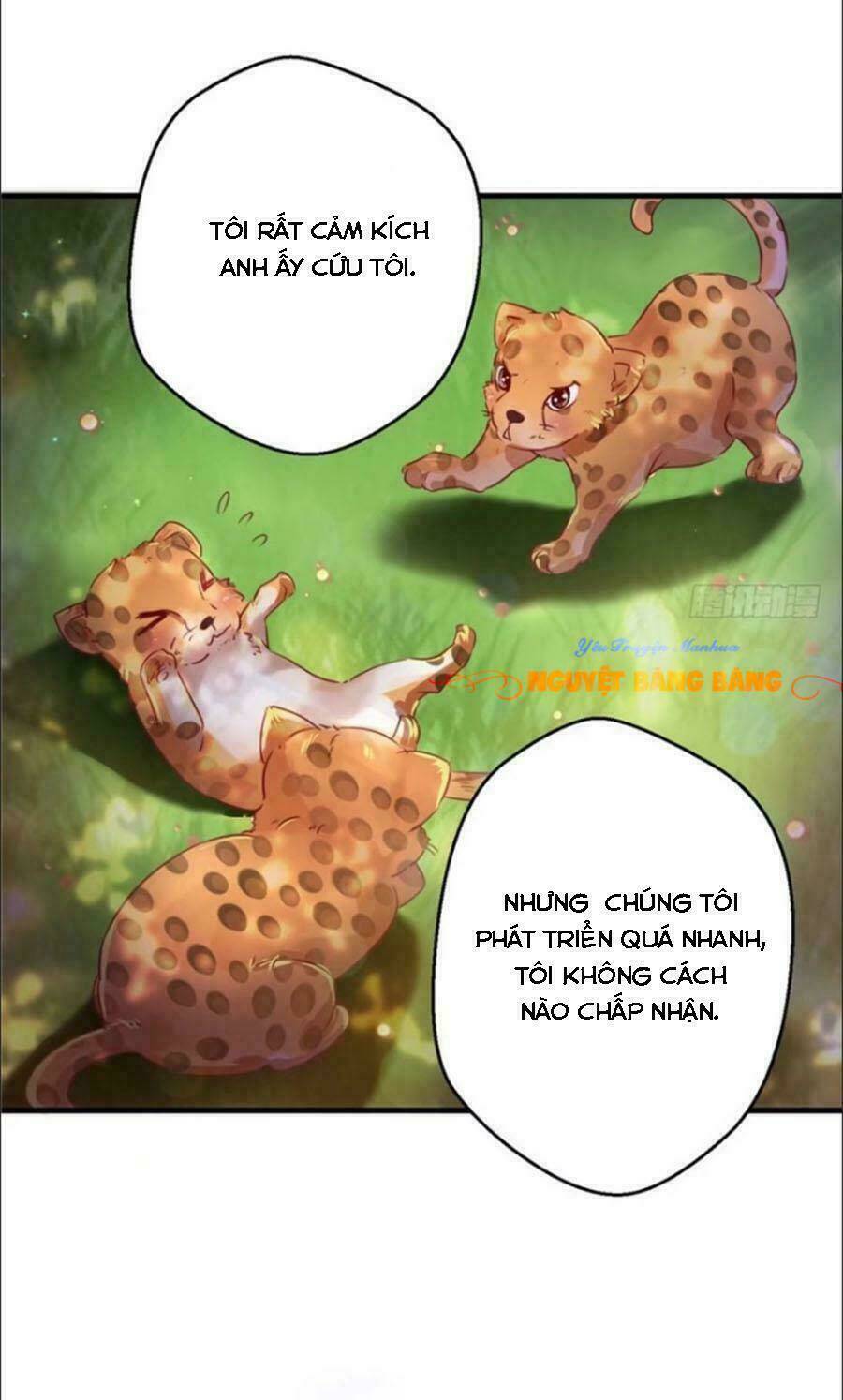 Trang 31