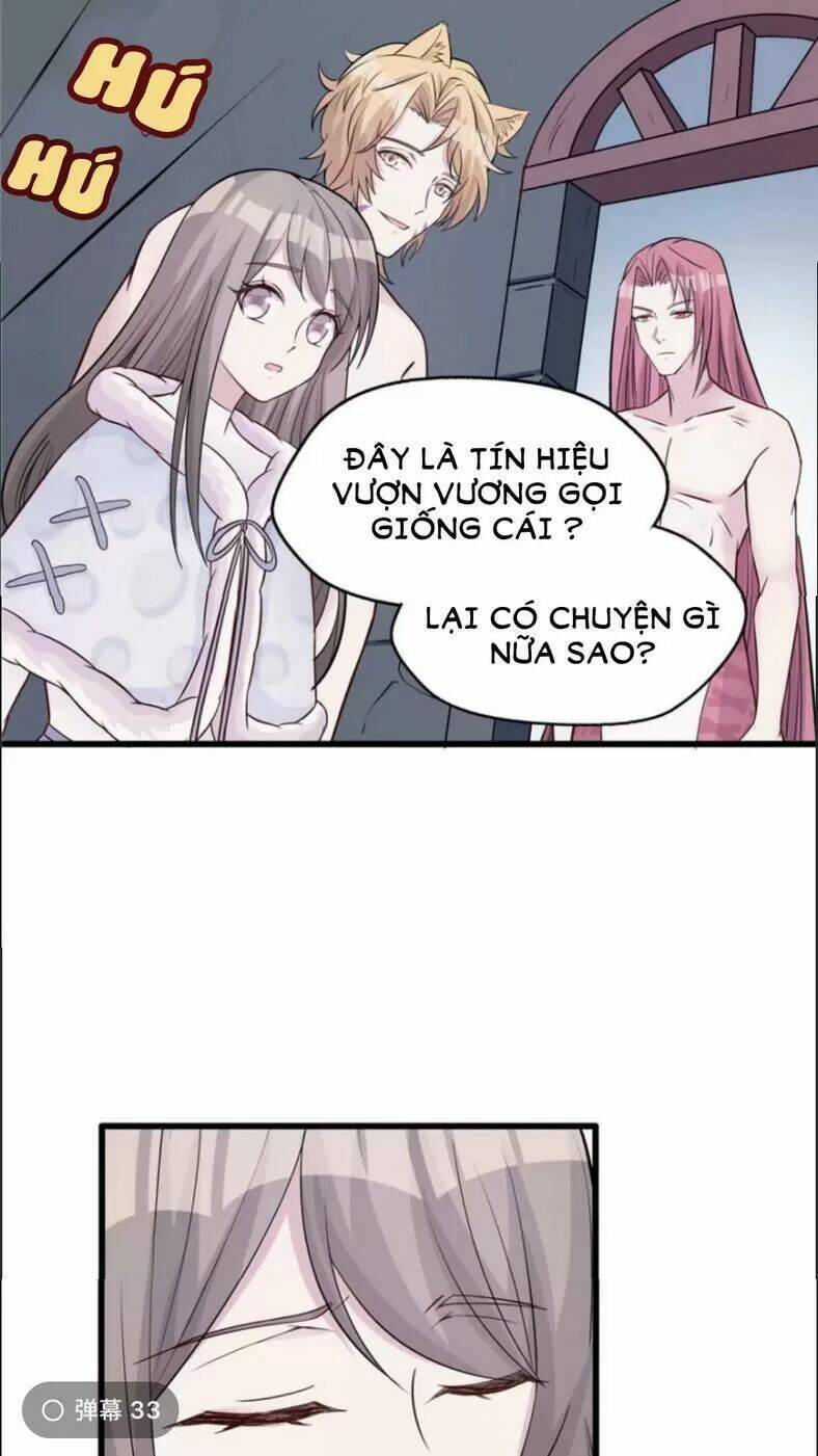 Trang 23