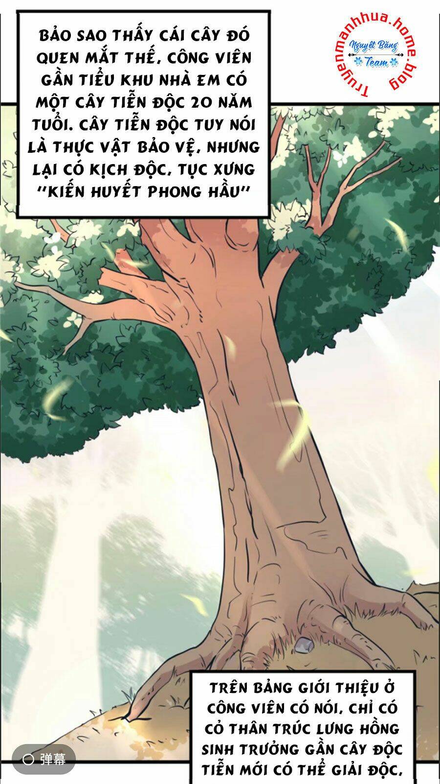 Trang 19