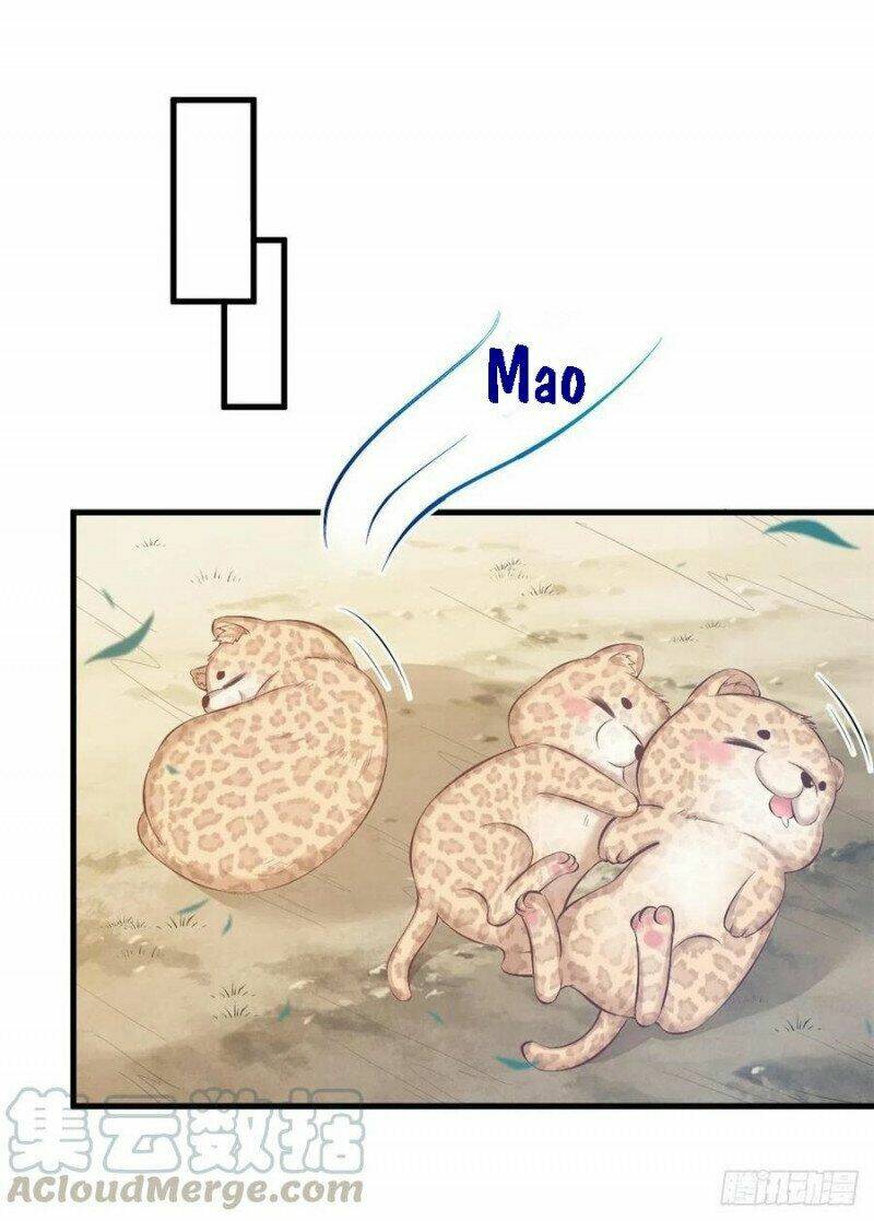 Trang 51