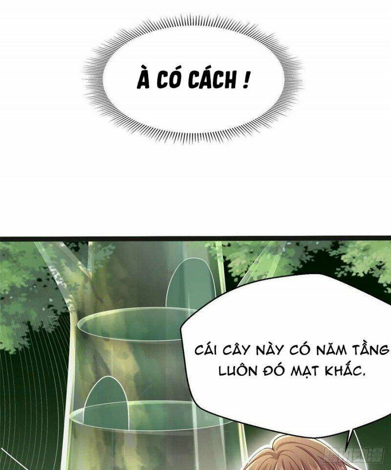 Trang 25