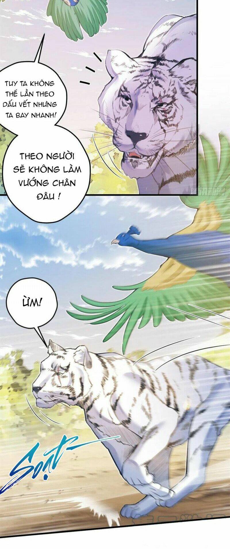 Trang 13