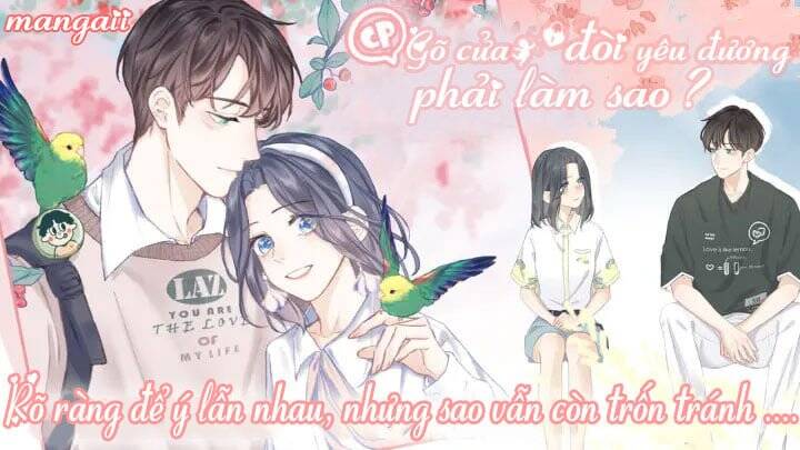 Trang 13