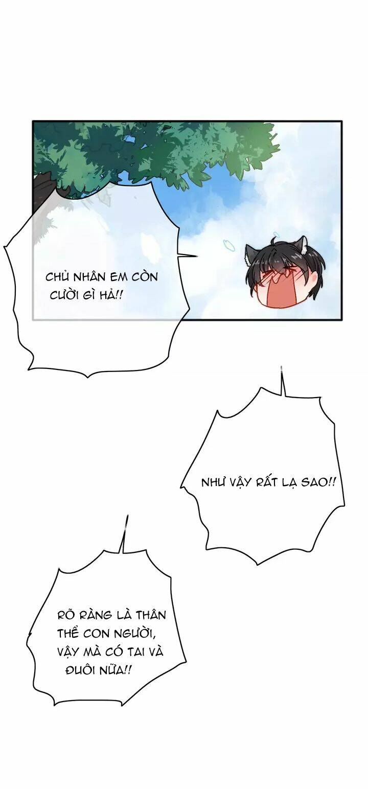 Chương 11.5 - Trang 8