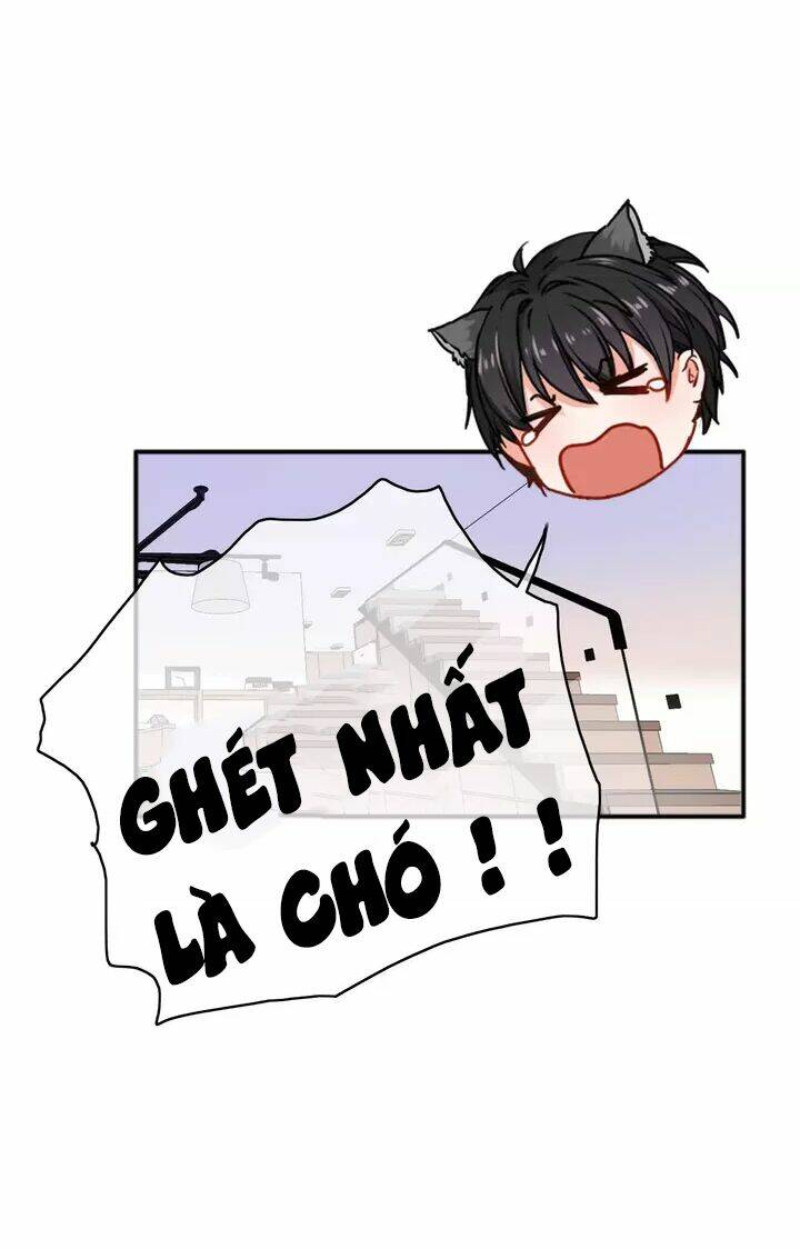 Chương 13 - Trang 5