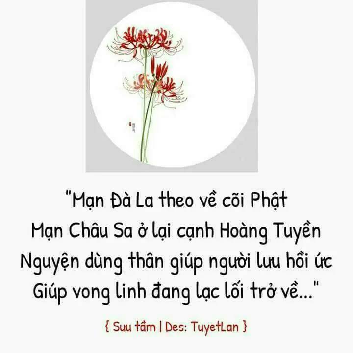 Chương 19 - Trang 27