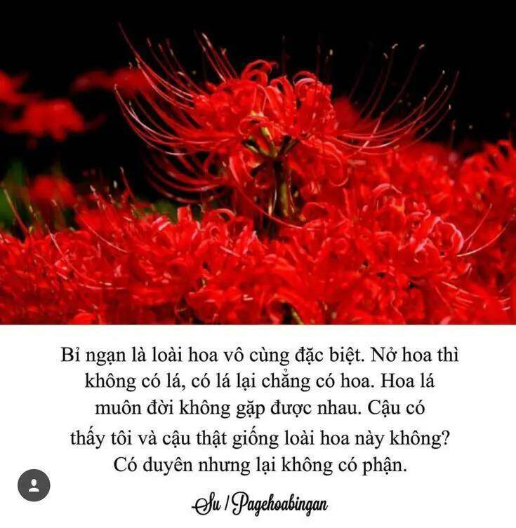 Chương 19 - Trang 28