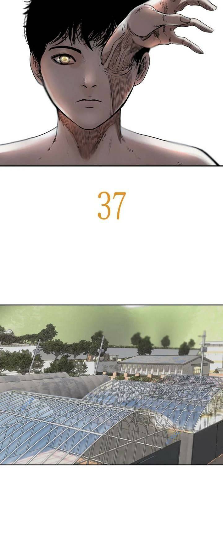 Chương 37 - Trang 11