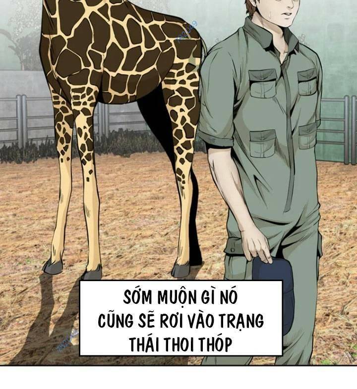 Chương 51 - Trang 17