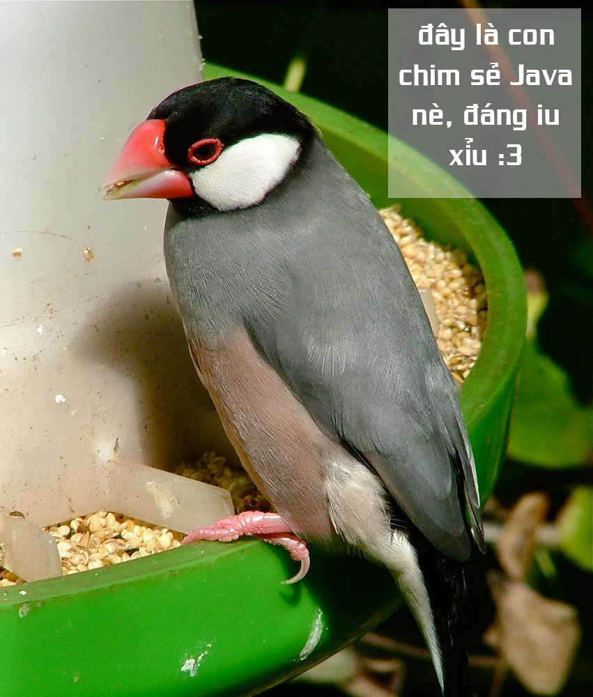 Chương 41 - Trang 35