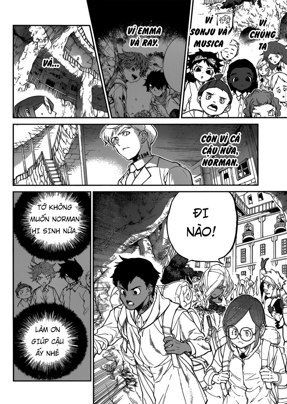 Chapter 135 - Trang 19