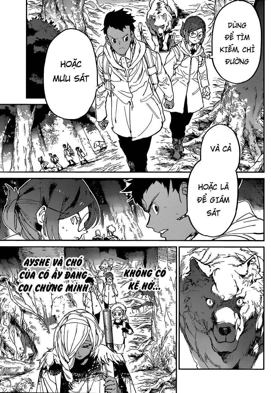 Chapter 138 - Trang 13