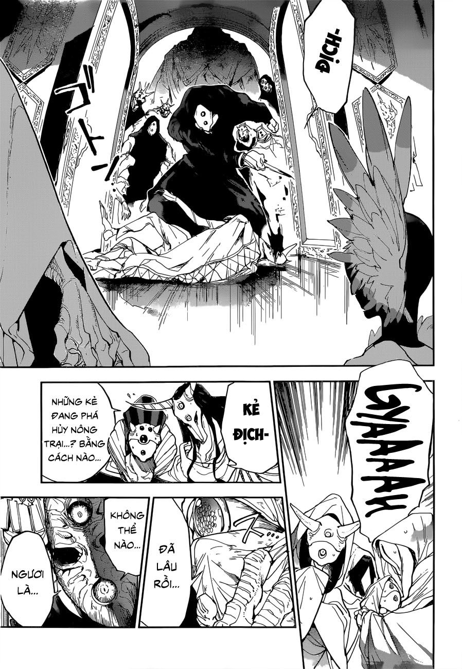 Chapter 146 - Trang 14