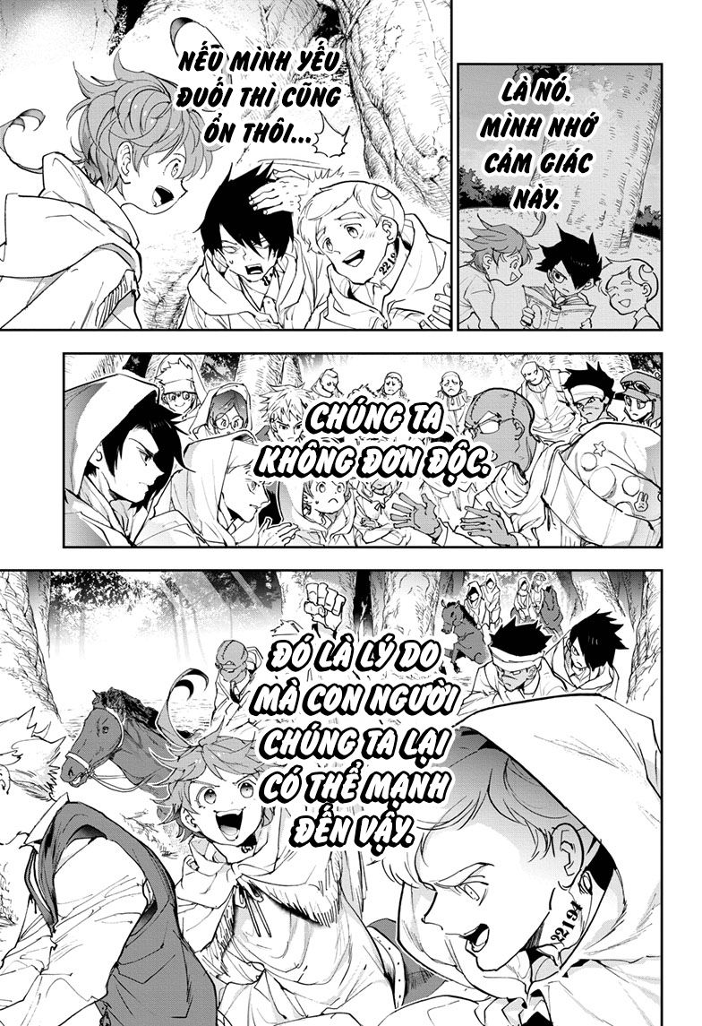 Chapter 161 - Trang 17
