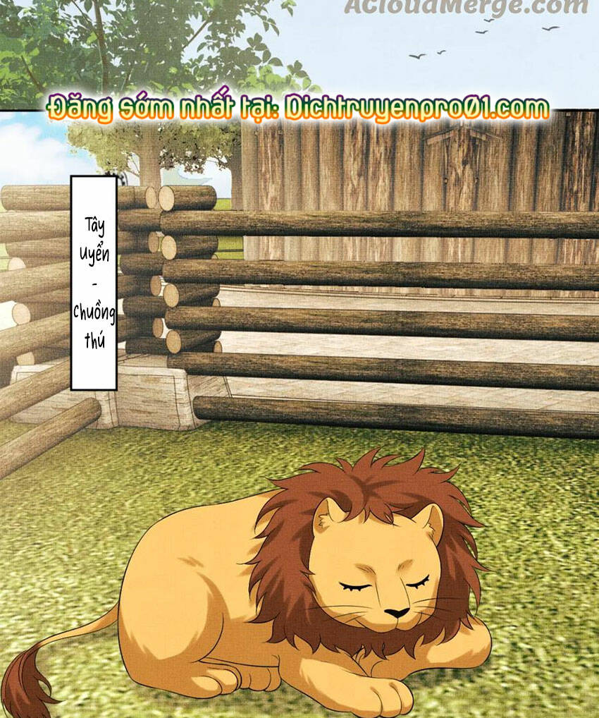 Chương 136.4 - Trang 21