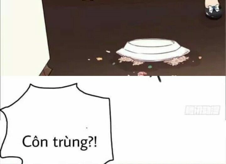 Chương 13 - Trang 55