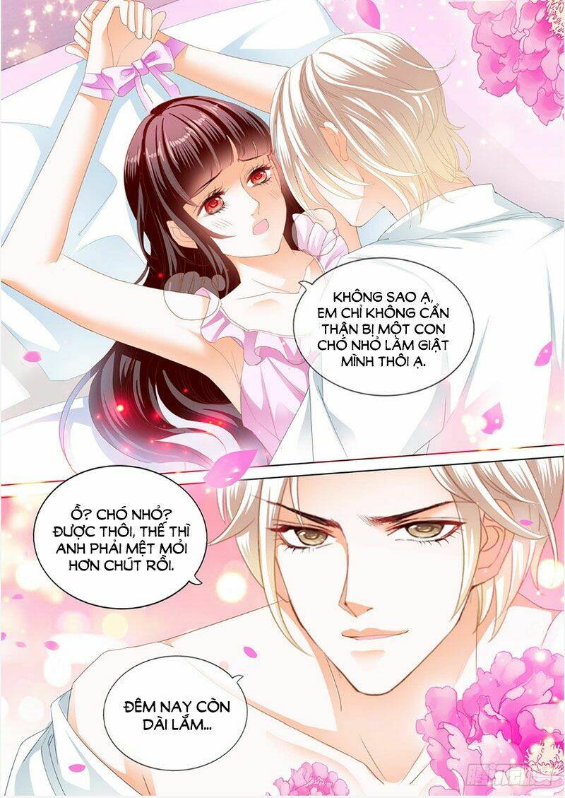Chương 242 - Trang 13