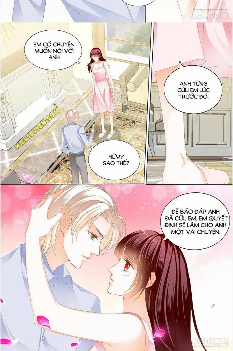 Chương 247 - Trang 3