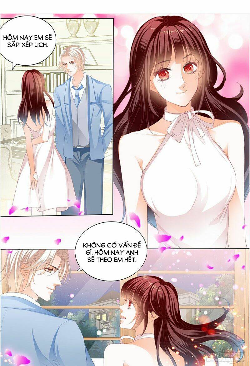 Chương 247 - Trang 5